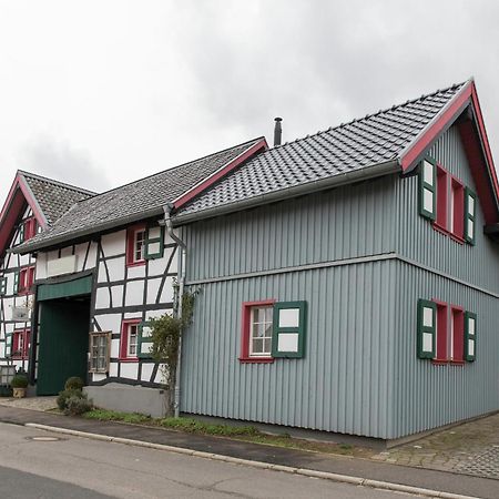 Apartment With Garden Near Monschau Schleiden Εξωτερικό φωτογραφία